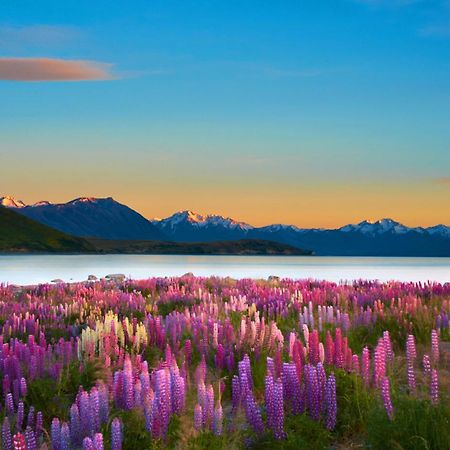 Lake Views At Antler Lodge Lake Tekapo Εξωτερικό φωτογραφία