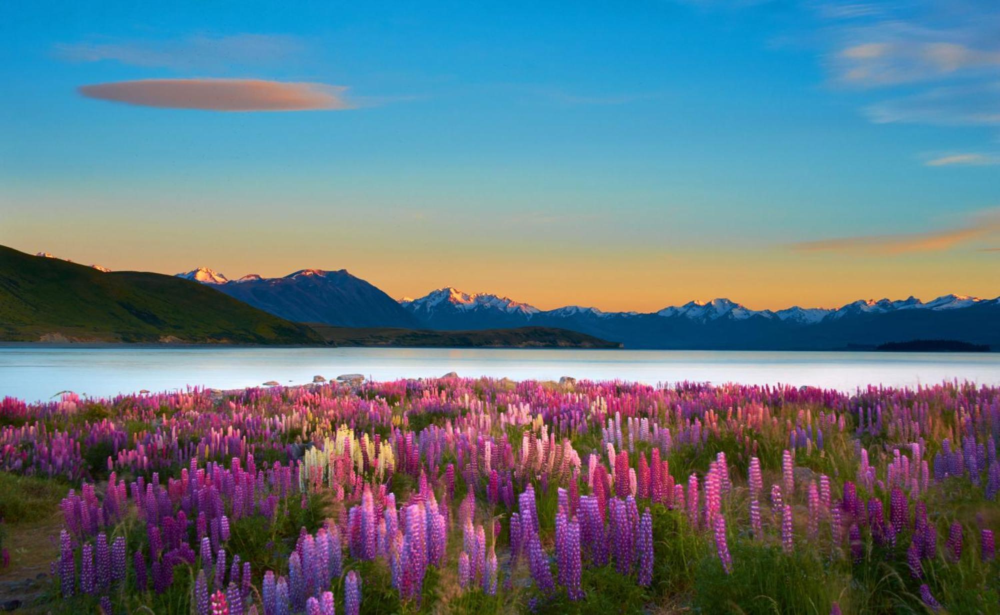 Lake Views At Antler Lodge Lake Tekapo Εξωτερικό φωτογραφία