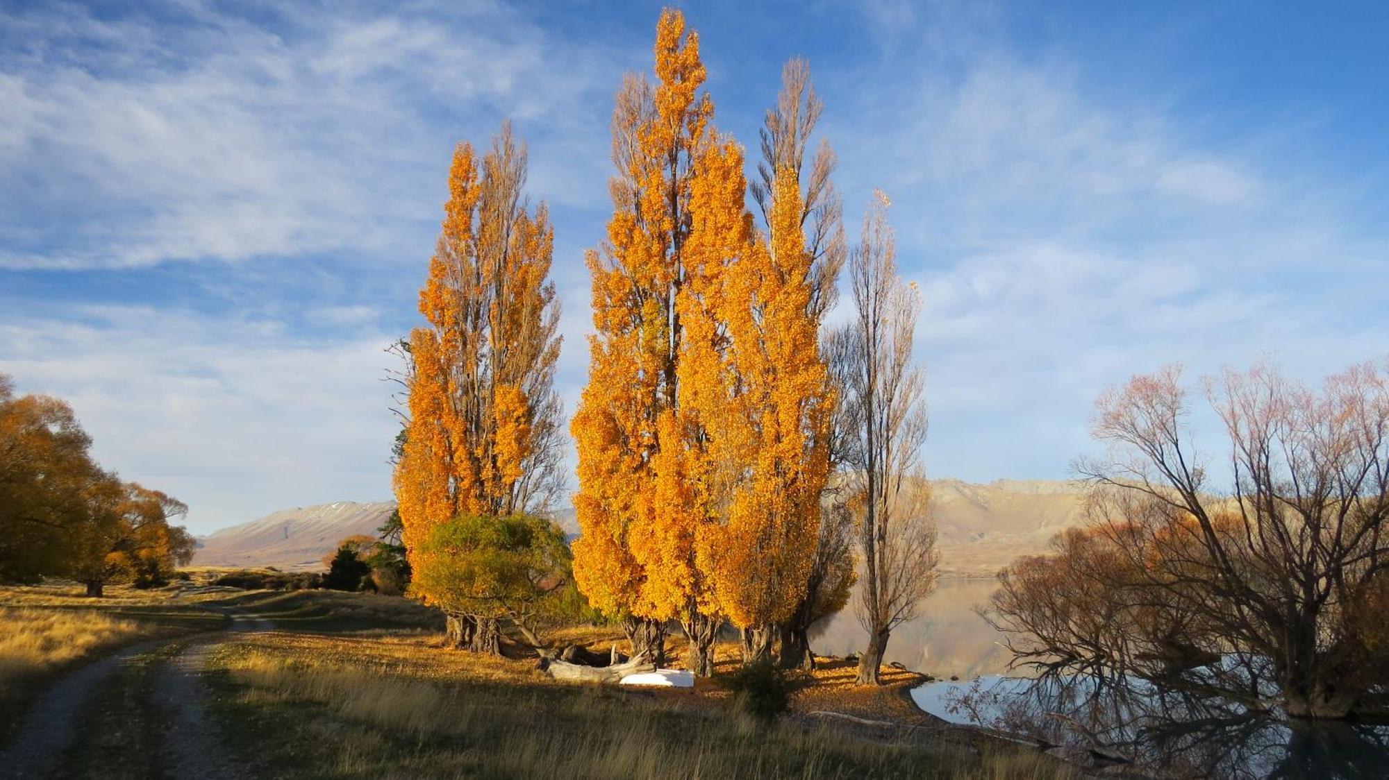 Lake Views At Antler Lodge Lake Tekapo Εξωτερικό φωτογραφία
